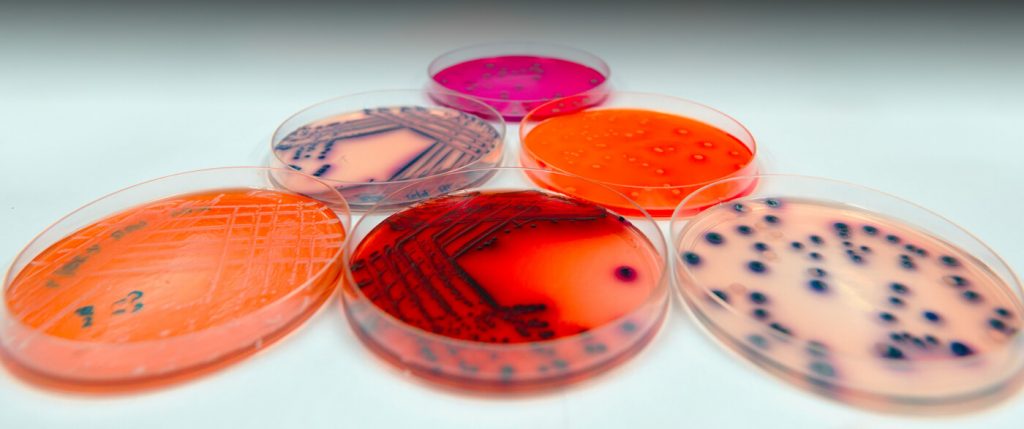 Microbiology | Vet Food Agro Diagnostics